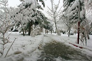 یک روز برفی در مرکز قلب و عروق شهید رجایی: عکس شماره 5 / 12